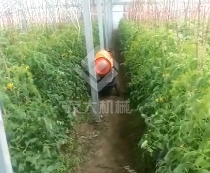 草莓大棚升溫保暖必備設備——燃油暖風機